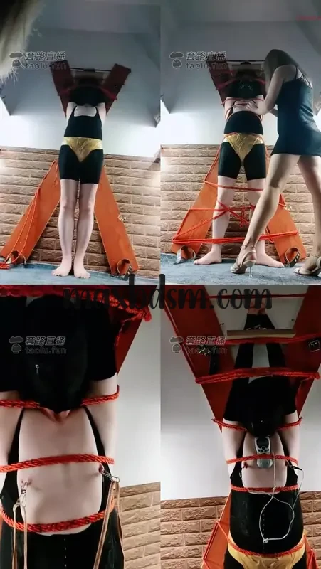 -2maxbdsm.com7d477609f0d9278c.webp
