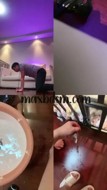 -91maxbdsm.com7c806ab89c8050ef.webp