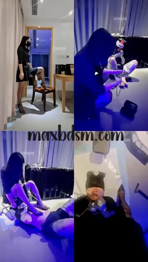 -K9maxbdsm.com6238b4576ef47419.webp