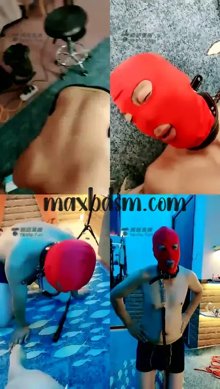 -sbmaxbdsm.com45b8abde3bea5895.webp