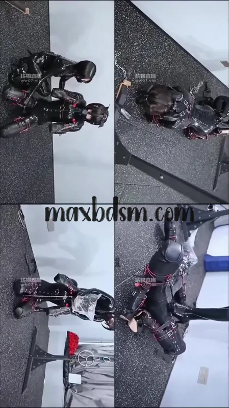 kitty--K9maxbdsm.com.webp